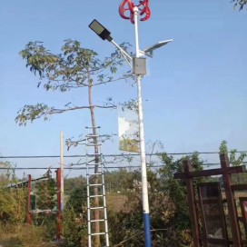 Kiểu Latern + Đèn bàn chải Kiểu Latern + Đèn bàn chải