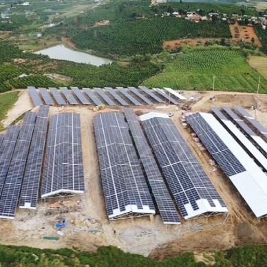 Dự án Nhà máy tại Bình Định