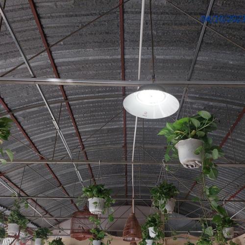 ĐÈN CHÓA / ĐÈN ỐP TRẦN NĂNG LƯỢNG MẶT TRỜI 