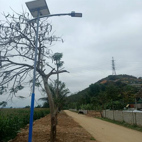 ĐÈN BÀN CHẢI NĂNG LƯỢNG MẶT TRỜI